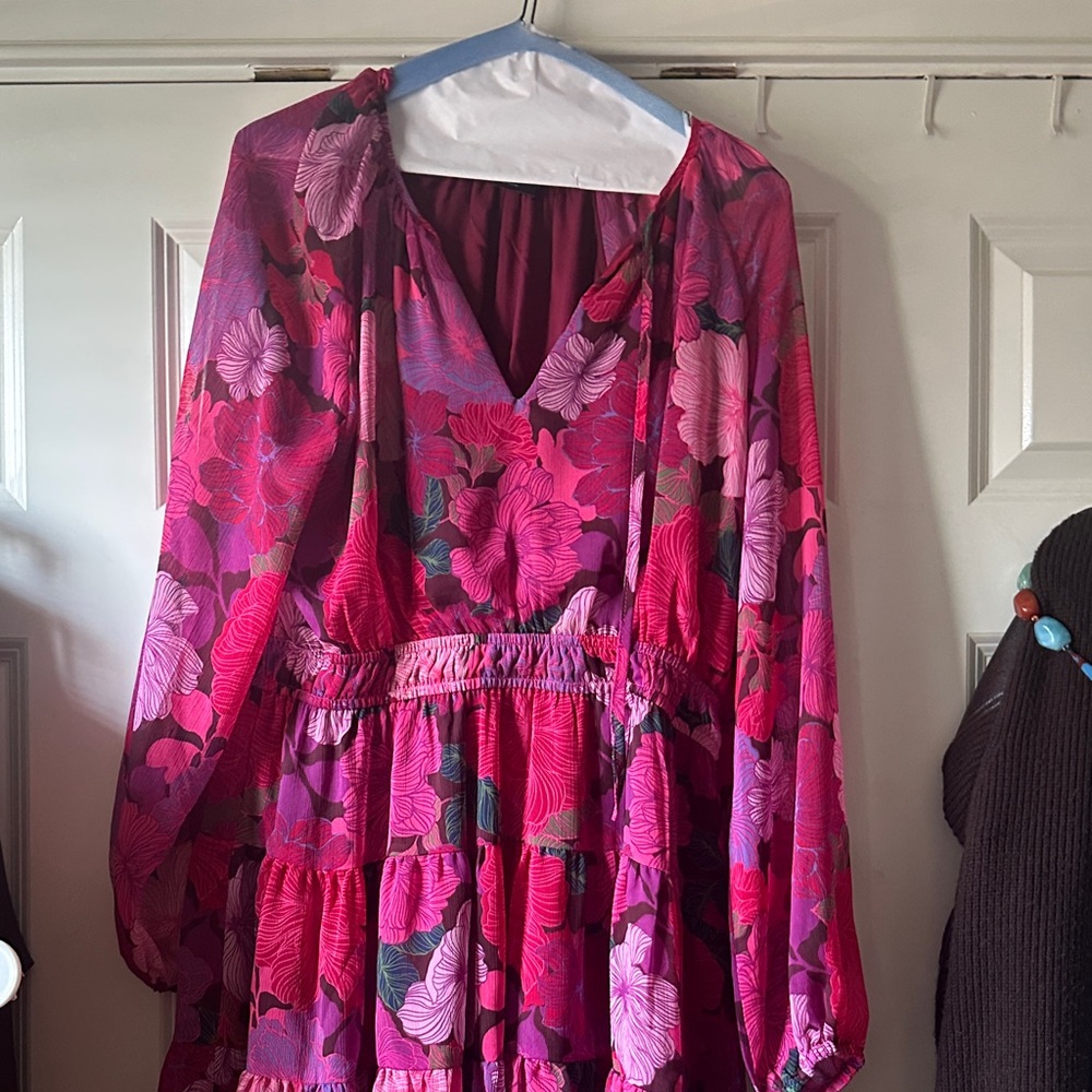 MINKPINK Pink and Red Floral Dress